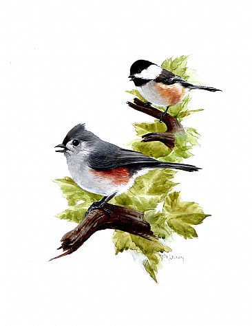 366x474 Chickadee And Tufted Titmouse - Tufted Titmouse Painting
