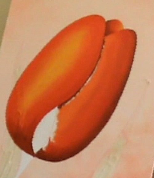 500x578 How To Paint A Tulip In Oil Online Art Lessons - Tulip Flower Painting