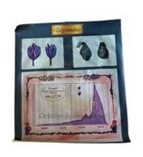 500x550 Tulip Mania Painting From Wall Street 2 Gorden Gekko With Frames - Tulip Mania Painting