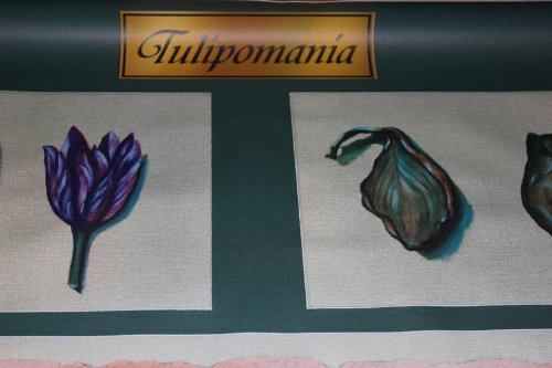 500x333 Tulip Mania Painting From Wall Street 2 Gorden Gekko - Tulip Mania Painting