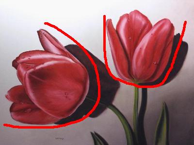 400x300 How To Paint A Tulip. - Tulip Oil Painting