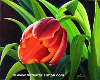 330x264 Red Tulip, Oil Painting. Varvara Harmon Oil Art 2 - Tulip Oil Painting