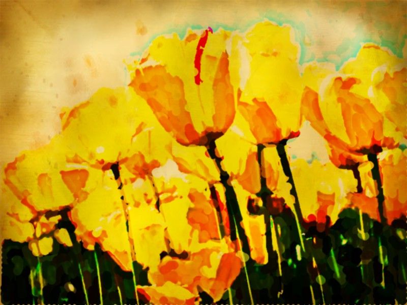 800x600 Tulips Oil Painting By Bluejayway333 - Tulip Oil Painting