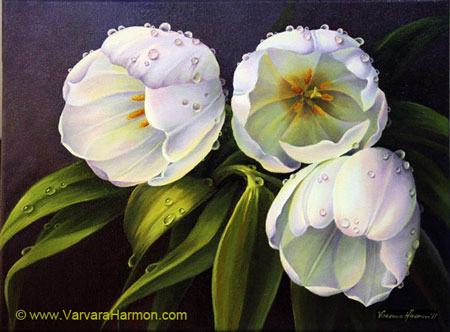 450x332 White Tulips, Original Oil Floral Painting By Varvara Harmon - Tulip Oil Painting