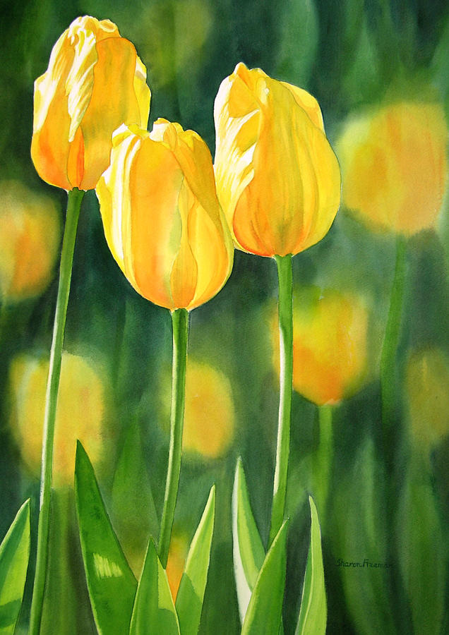 636x900 Yellow Tulips Painting By Sharon Freeman - Tulip Painting