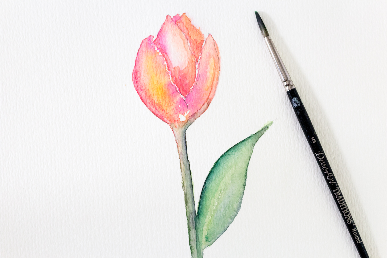 1350x900 How To Paint A Watercolor Tulip - Tulip Painting