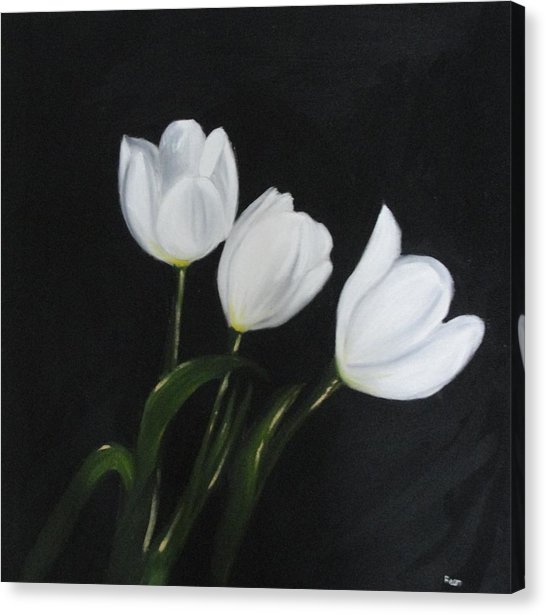 546x615 White Tulips On Black Painting By Maureen Hargrove - Tulip Painting On Canvas