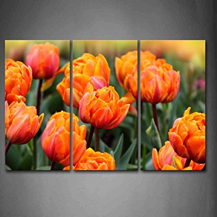 425x425 Buy First Wall Artampacircampreg - Tulip Painting On Canvas