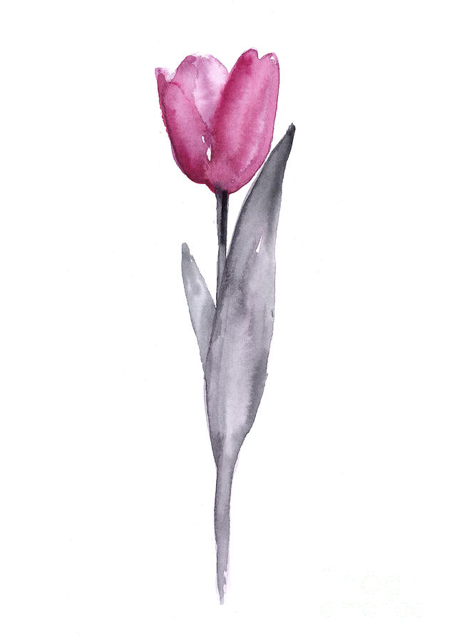 Tulip Watercolor Painting at PaintingValley.com | Explore collection of ...