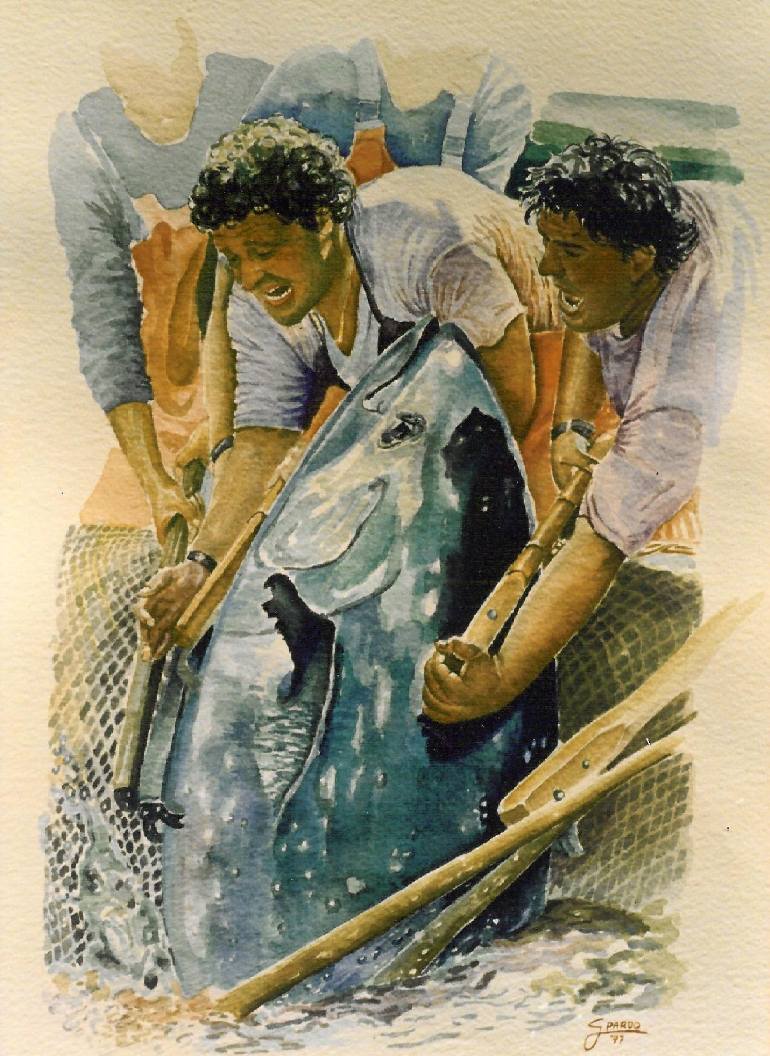 770x1056 Saatchi Art Tuna Fishing Painting By Gina Pardo - Tuna Fishing Painting