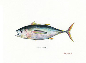 300x218 Tuna Fishing Paintings Fine Art America - Tuna Fishing Painting