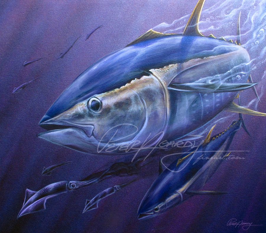 900x791 Tuna - Tuna Fishing Painting