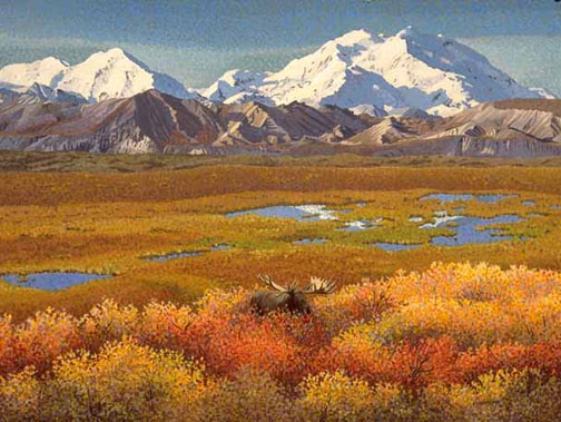 504x379 Tundra Bull Moose Art Print - Tundra Painting