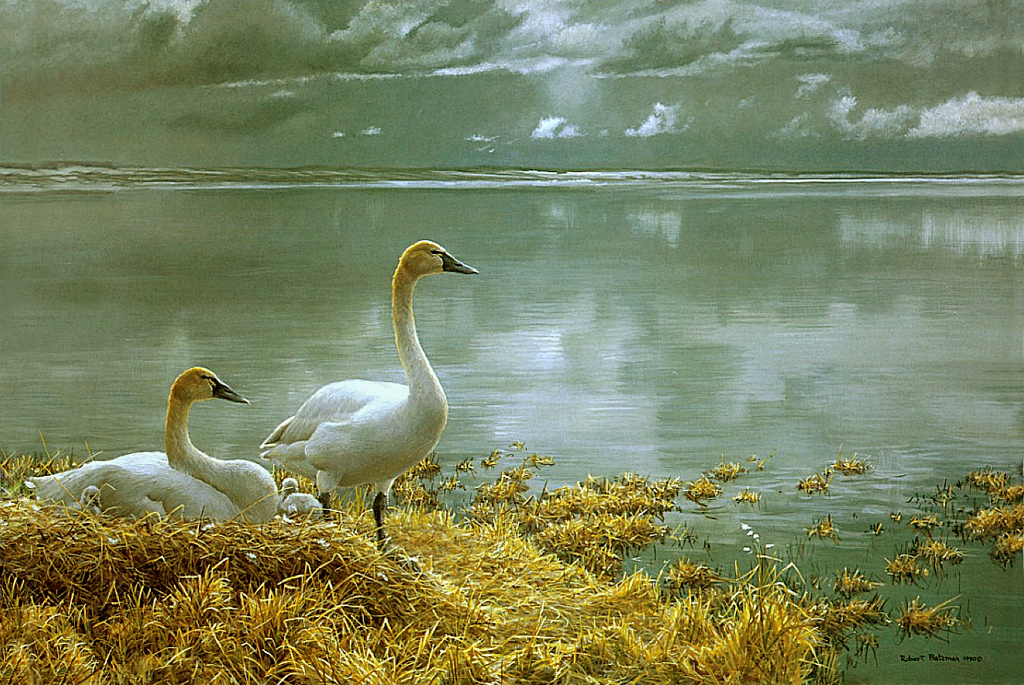 1024x685 Wide Horizon - Tundra Painting