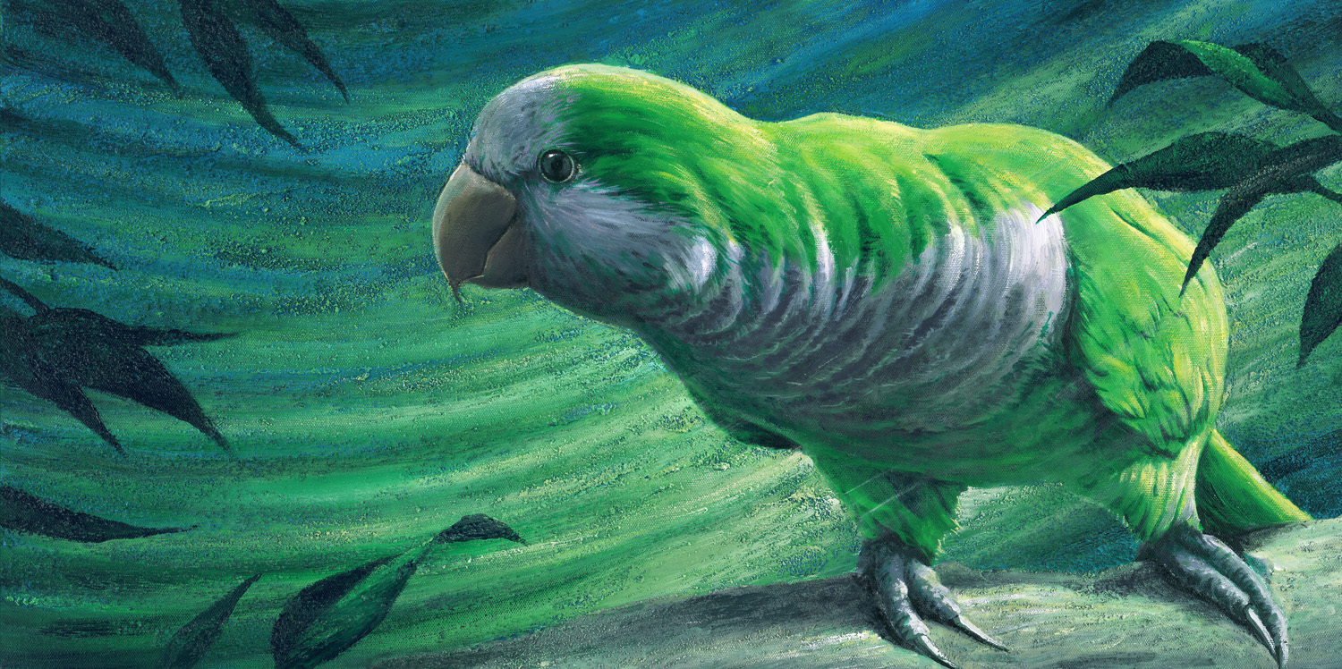 1500x748 Turbo - Turbo Painting