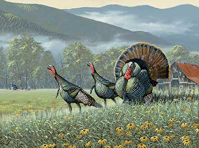 400x298 Turkey Art Wild Wings - Turkey Bird Painting