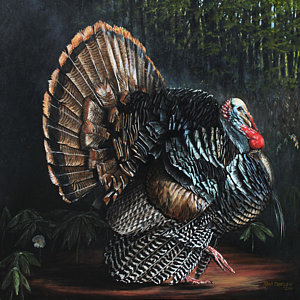 300x300 Turkey Gobbler Paintings Fine Art America - Turkey Bird Painting