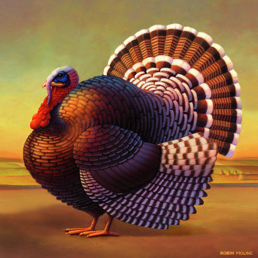 900x900 Turkey Paintings Fine Art America - Turkey Bird Painting