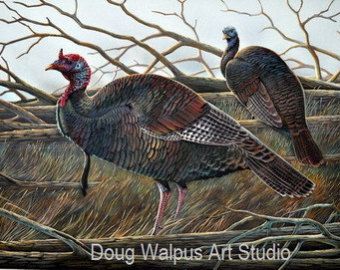 340x270 Check Out Wild Turkey Painting, Acrylic,wildlife Art, Turkey - Turkey Bird Painting