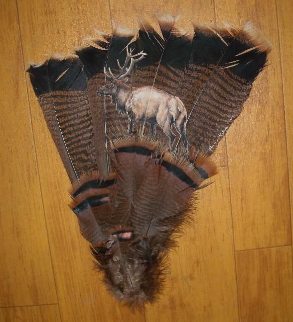 584x640 The 416 Best Painted Feathers Images On Feather Art - Turkey Hand Painting