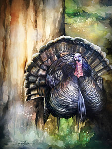 226x300 Turkey Hunting Art - Turkey Hunting Painting
