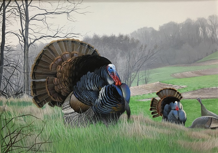 Turkey Hunting Painting at PaintingValley.com | Explore collection of ...