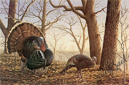 450x297 Wildlife Art Prints Plus Original Paintings With A Wide Selection - Turkey Hunting Painting