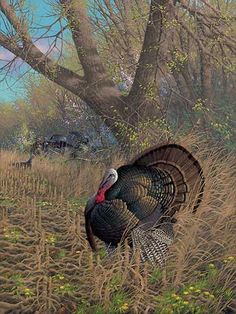 236x314 North American Wildlife Artists Decoys And Wildlife Gallery - Turkey Hunting Painting