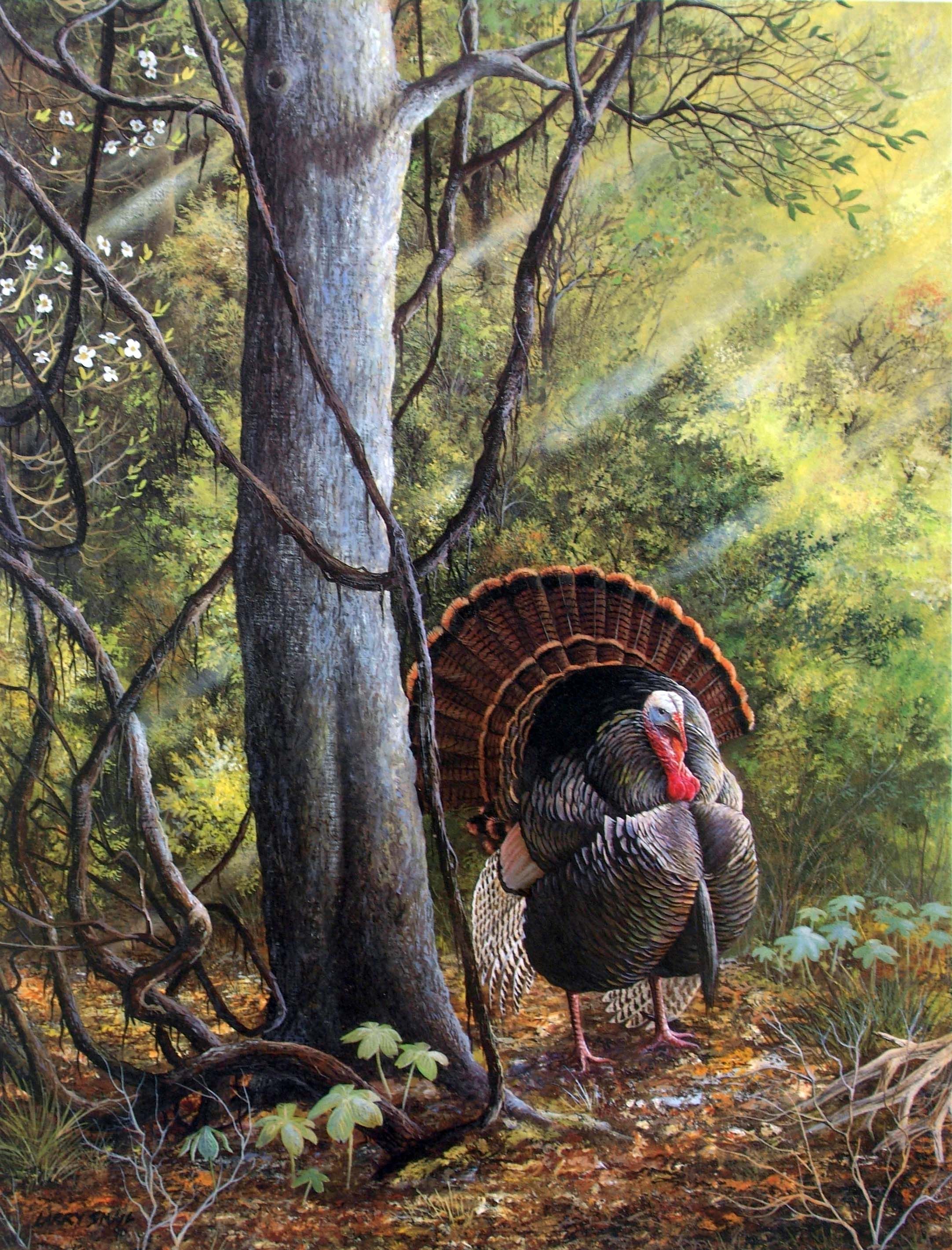 2164x2840 Tacchini Hd - Turkey Hunting Painting
