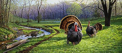 400x174 Smoothbore Turkey Hunt - Turkey Hunting Painting