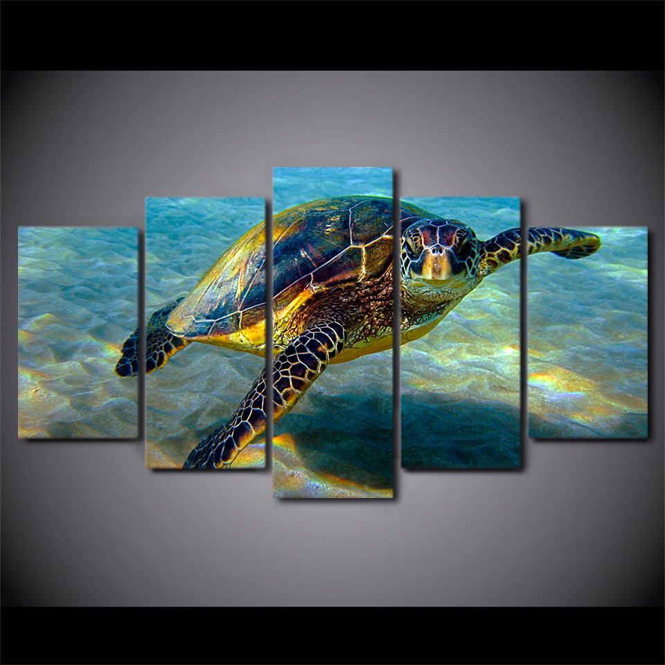 Turtle Canvas Painting at PaintingValley.com | Explore collection of ...