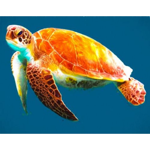 500x500 Sea Turtle 1 Sketch For Canvas Painting - Turtle Canvas Painting