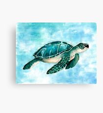 210x230 Sea Turtle Painting Amp Mixed Media Canvas Prints Redbubble - Turtle Canvas Painting