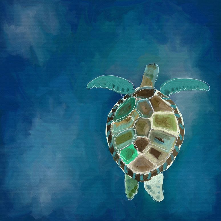 775x775 Swimming Sea Turtle' By Cathy Walters Painting Print On Canvas - Turtle Canvas Painting