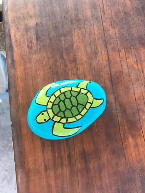 480x640 Sea Turtle Rock Painting Rock Painting Turtle - Turtle Painting Rock
