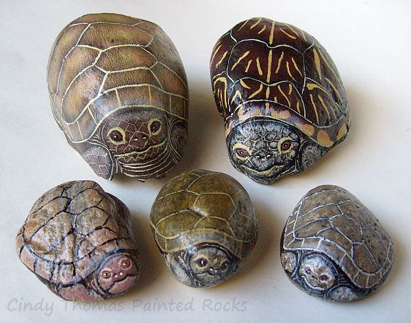 600x472 Turtles Painted On Rocks Various Turtles Painted On Rocks - Turtle Painting Rock
