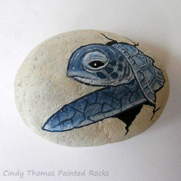 Turtle Painting Rock at PaintingValley.com | Explore collection of ...