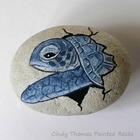 Turtle Painting Rock at PaintingValley.com | Explore collection of ...