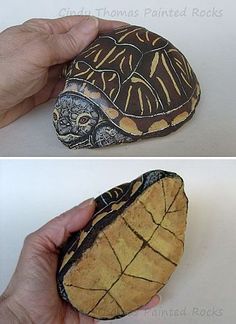 236x324 Paint Rock Like Turtle (Instructionsre In Spanish) - Turtle Painting Rock