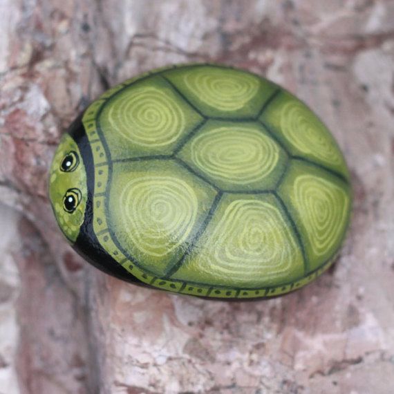 570x570 Painted Rocks - Turtle Painting Rock