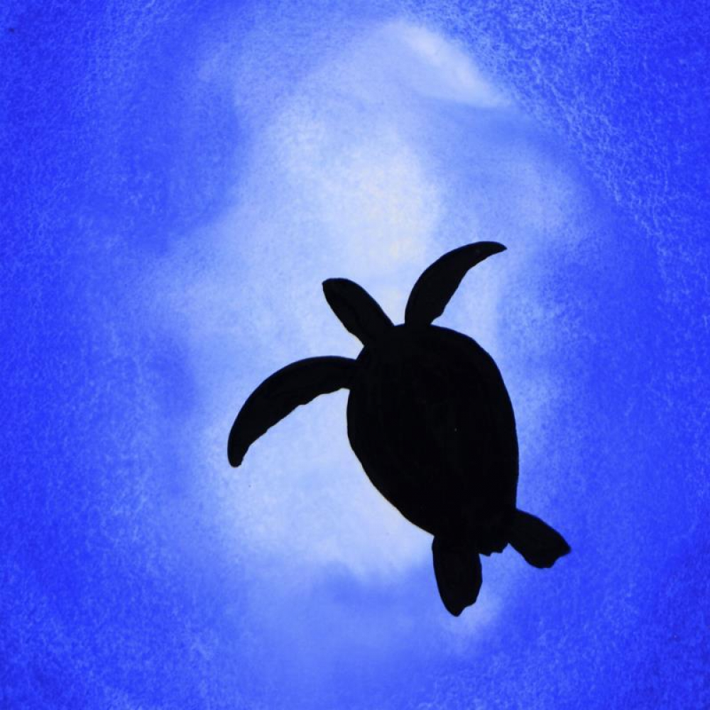 1000x1000 Online Sports Memorabilia Auction Pristine Auction - Turtle Silhouette Painting