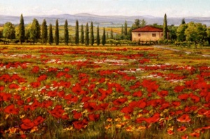 300x199 Tuscan Primavera Poppies - Tuscan Poppies Painting