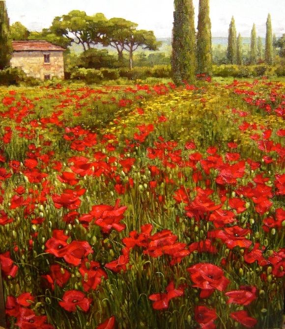 580x670 Poppy Fields In Tuscany Commission A An Original Caroline - Tuscan Poppies Painting