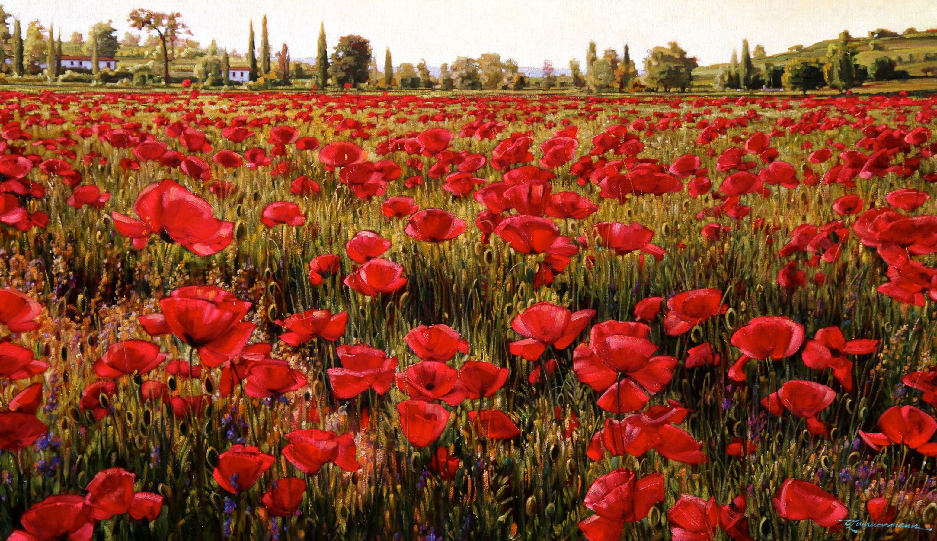 3104x1791 Tuscan Poppy Painting In Oils Flower - Tuscan Poppies Painting