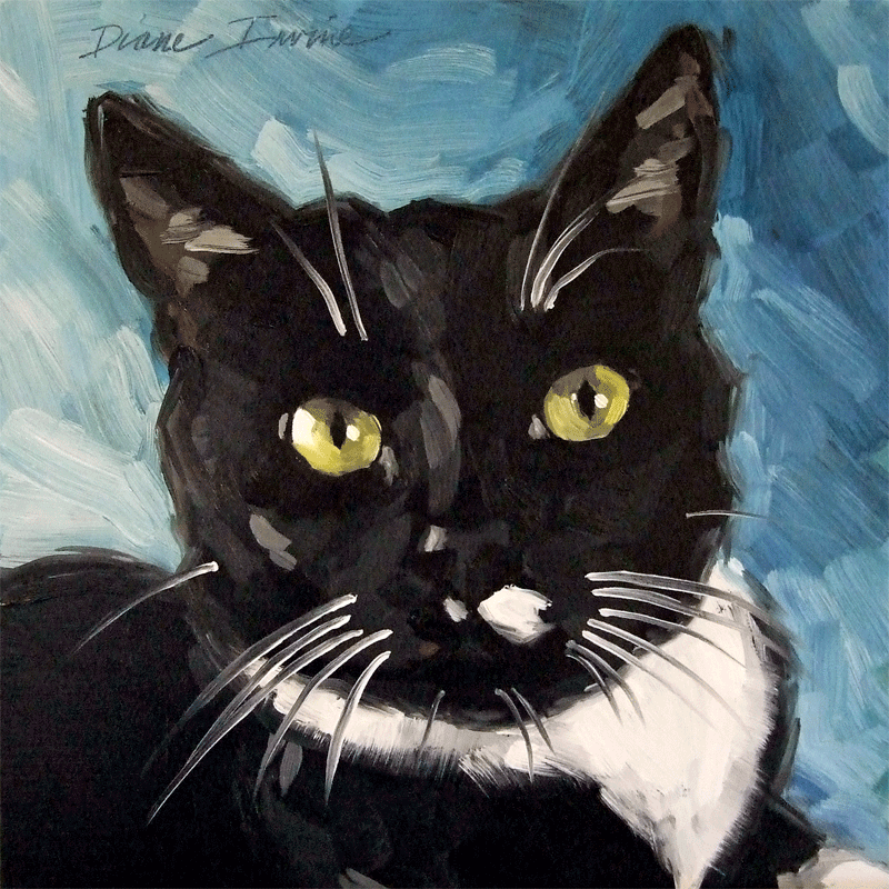 800x800 Paintings From The Parlor Kip The Tuxedo Cat - Tuxedo Cat Painting