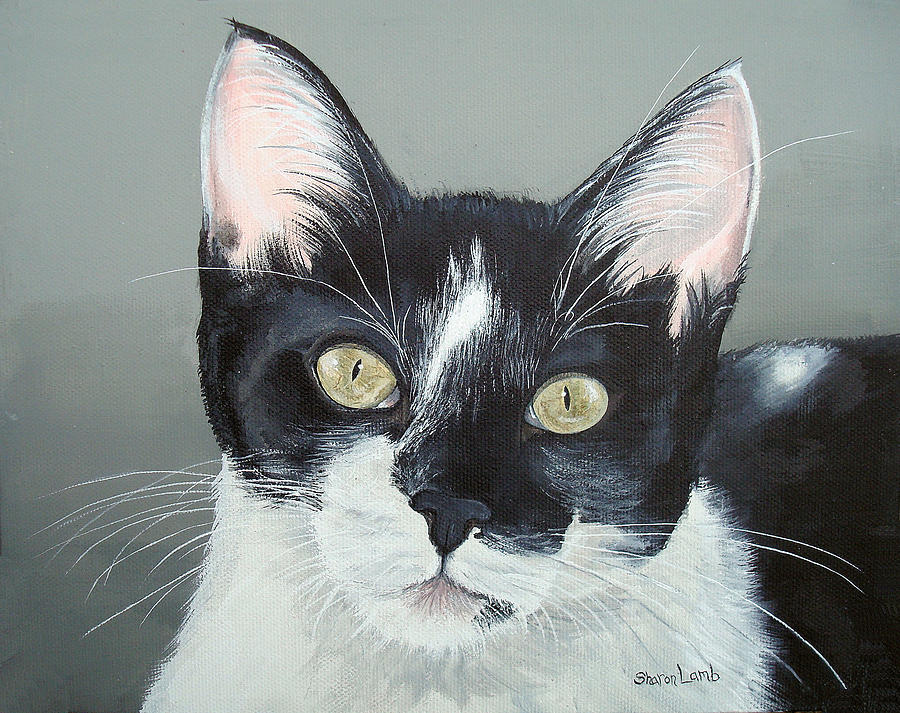 900x713 Pet Portrait Painting Commission Tuxedo Cat Painting By Sharon Lamb - Tuxedo Cat Painting