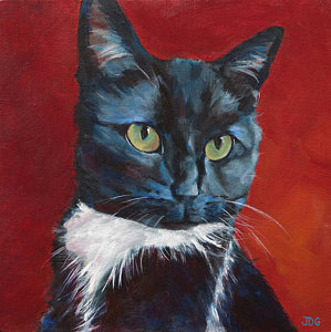 Tuxedo Cat Painting at PaintingValley.com | Explore collection of ...