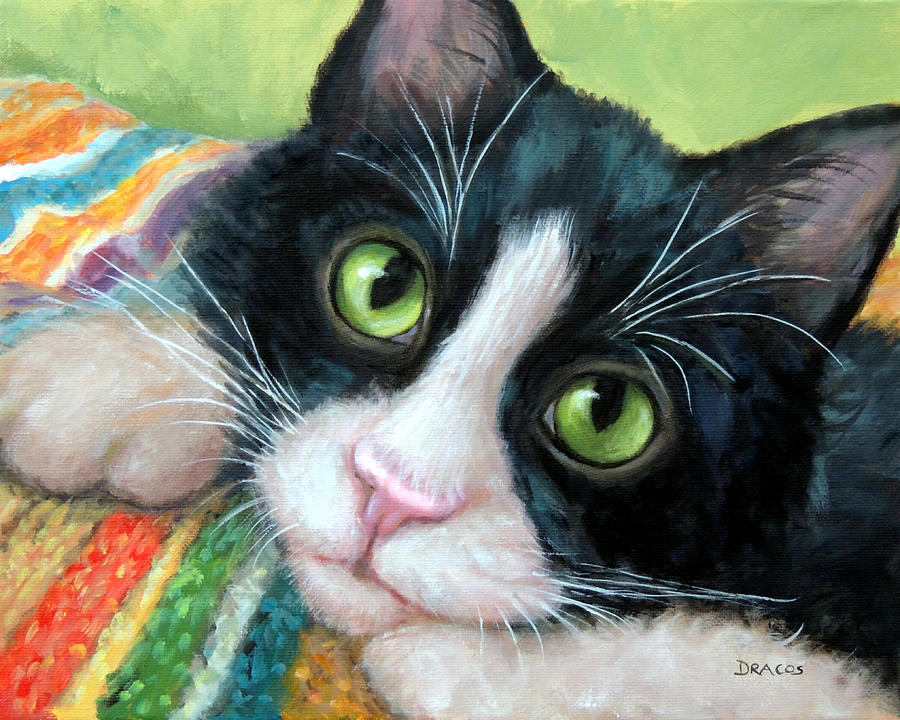 900x720 Tuxedo Cat With Blankie Painting By Dottie Dracos - Tuxedo Cat Painting