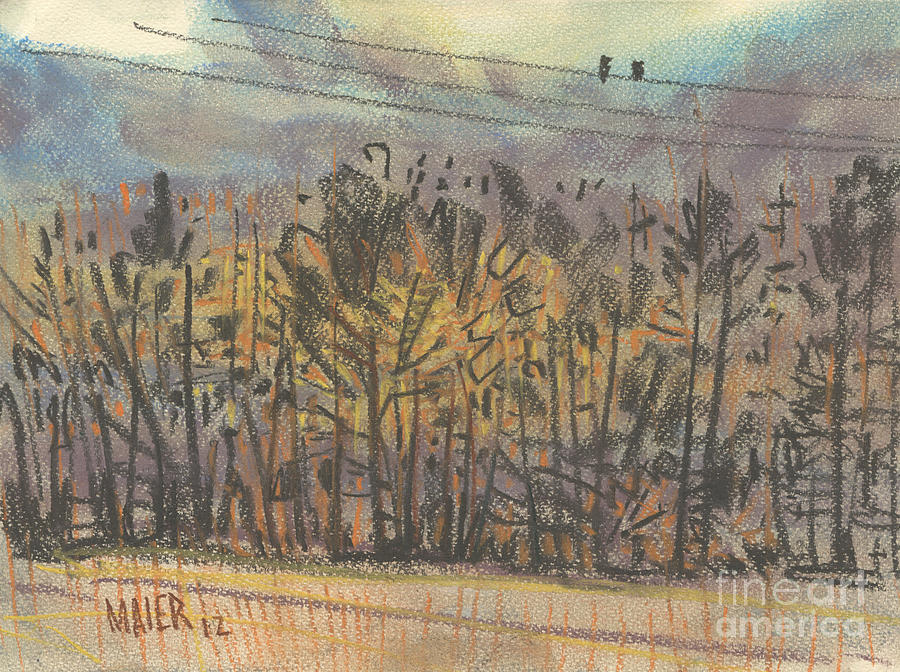 900x672 Two Birds On A Wire Painting By Donald Maier - Two Birds On A Wire Painting