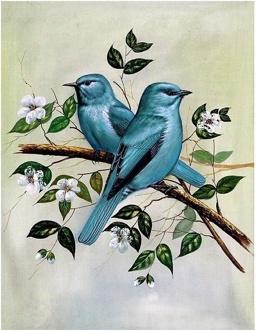 502x650 Painting Of Two Birds In A Tree Artpaintings - Two Birds Painting